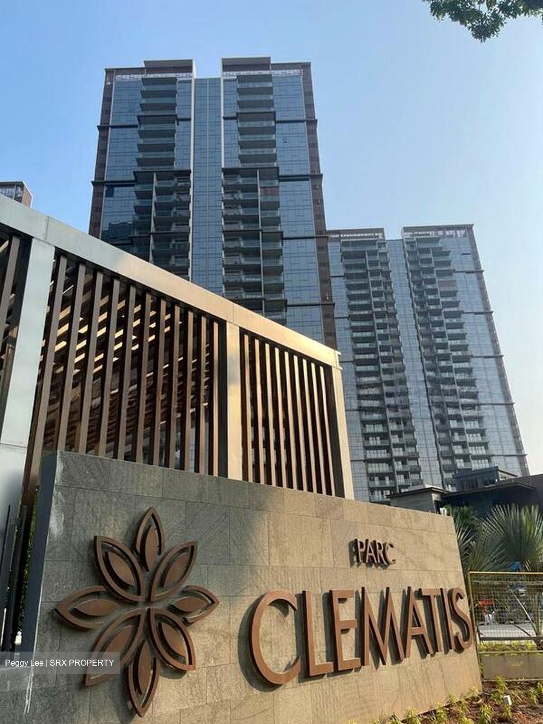 Parc Clematis (D5), Apartment #496696421